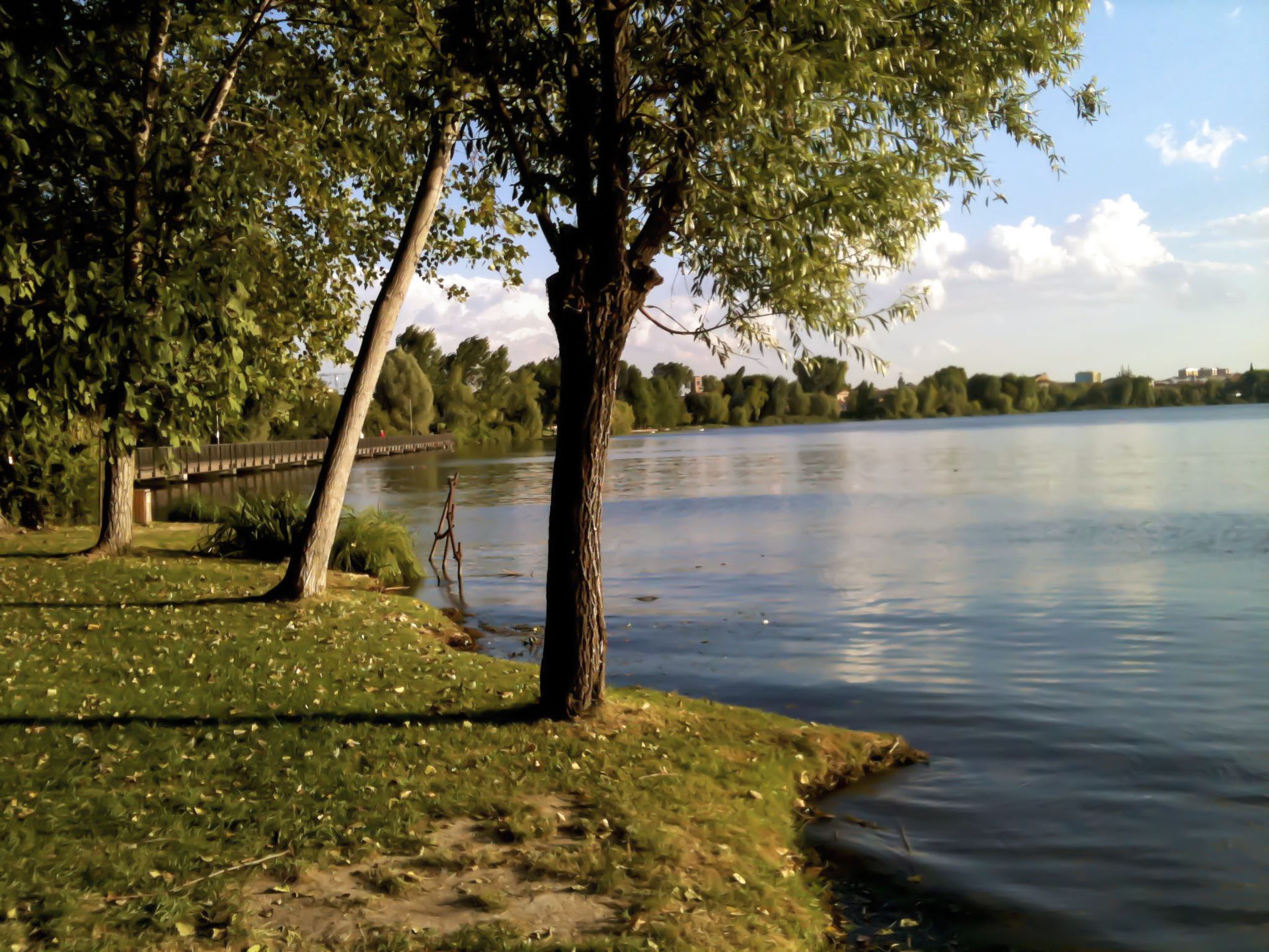 The lakes that surround Mantua, a short walk or cycle from the campus